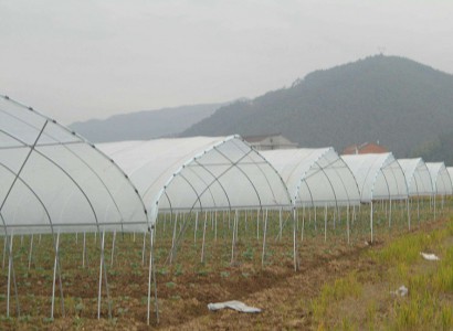 簡(jiǎn)易型拱棚