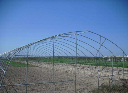 簡(jiǎn)易型拱棚